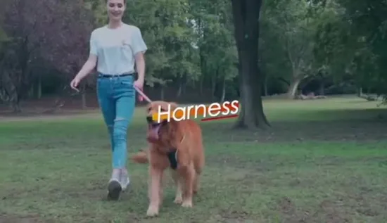 LiFePO4 バッテリー 5kw 5120wh ポータブル発電所ソーラー屋外非常用電源